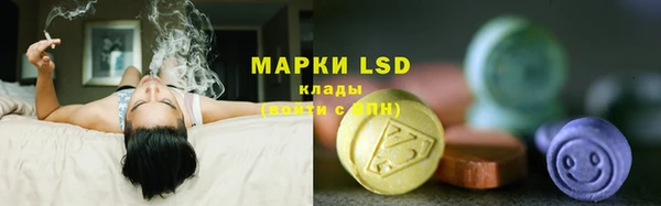 спиды Покров