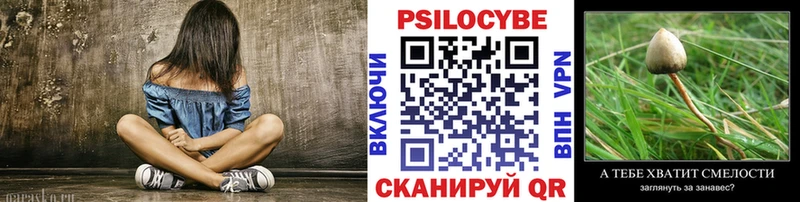 Купить где  Уяр  Псилоцибиновые грибы мицелий 